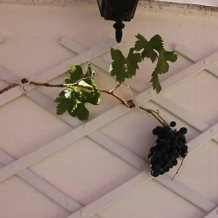 Sicilia Avola